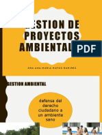 Tema 1 Gestion Ambiental PDF