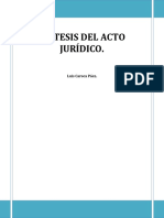 Resumen de acto jurídico. Caroca..docx