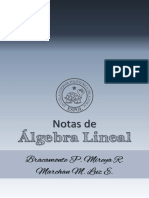 Libro Algebra Lineal Capitulos 0 1