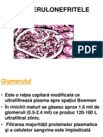 Glomerulonefrite Acute Si Cronice 2017