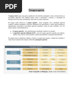 2-divesidade das paisagens agrárias