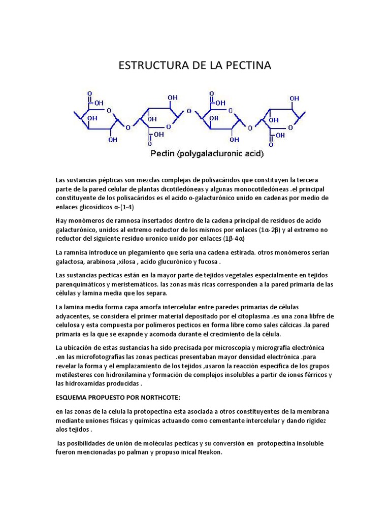 Estructura de La Pectina Biología Celular) Enlace químico