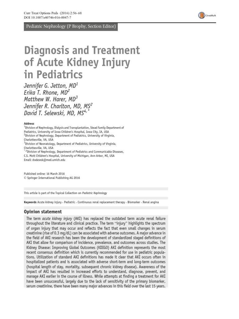 Diagnosis and Treatment of Acute Kidney Injury in Pediatrics | PDF ...