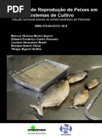 Unipampa Bom Sem a Tecnica