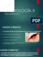 Embriología II