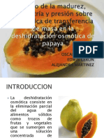 Deshidratacinosmticadepapaya 121130163843 Phpapp01