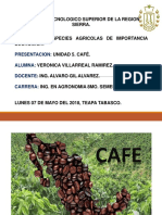 Unidad 5 Cafe