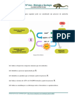 220056143-10-12-quimiossintese