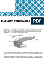 Secreción Pancreática