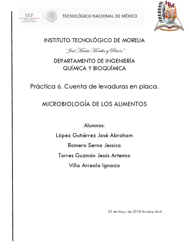 Cuenta de Levaduras en Alimentos | PDF | Levadura | Cerveza