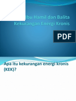 Bahaya Ibu Hamil Dan Balita Kekurangan Energi Kronis