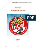 Informe InCel 2017