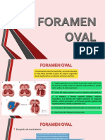 Foramen Oval