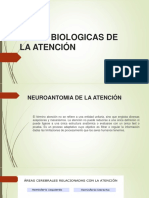 BASES-BIOLOGICAS-DE-LA-ATENCIÓN.pptx