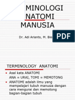 Terminologi Anatomi Manusia