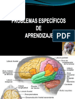 Problemas Especificos de Aprendizaje