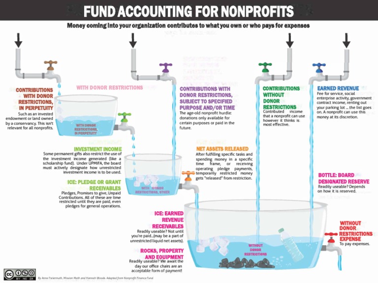 Fund Accounting Essentials for Nonprofits | PDF | Revenue | Earnings