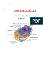 proyecto celula trabajo .docx