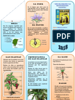 Las partes de la planta