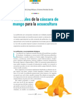 POLIFENOLES.pdf