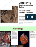 Lecture Animation Outline The Circulatory System: The Heart