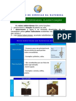 02 Raizes Sub Tipos CM PDF