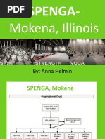 Spenga PP Revenue Project-Anna Helmin