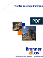Bruner and Lay.pdf