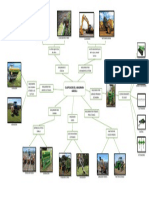 Clasificacion de Maquinaria Agricola 1