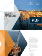 Petroleo y gas (1).pdf