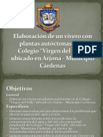 Defensa del Proyecto Vivero.ppt