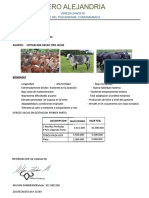 ctizacion corregida.pdf