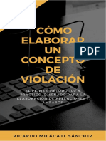 Cómo Elaborar Un Concepto de Violación