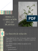 Relacion_plantas