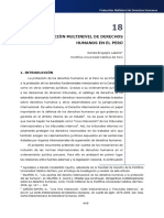 La protección multinivel de derechos humanos en el Perú.pdf