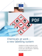 Chemical Labels Guide en