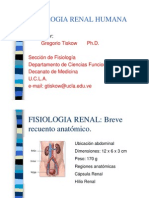 FISIOLOGIARENAL