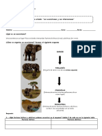 4° Guía Los Ecosistemas y Sus Interacciones