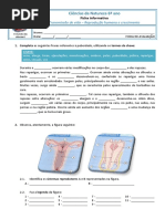 Ficha de avaliação.pdf