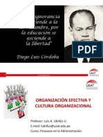 6 Organización Efectiva y Cultura Organizacional