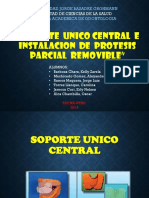 Diapositivas de Soporte Unico Central e Instalacion de PPR