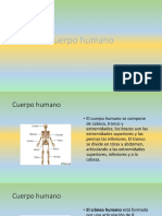 cuerpo humano Fernando.pptx