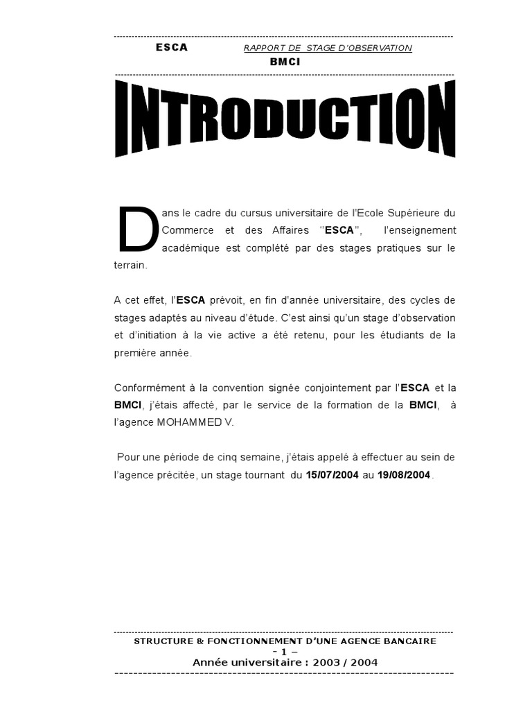 Rapport De Stage  BMCI  Présentation de la Banque (Initiation) 10.doc