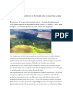 Carne de Res, Culpable de La Deforestación en América Latina