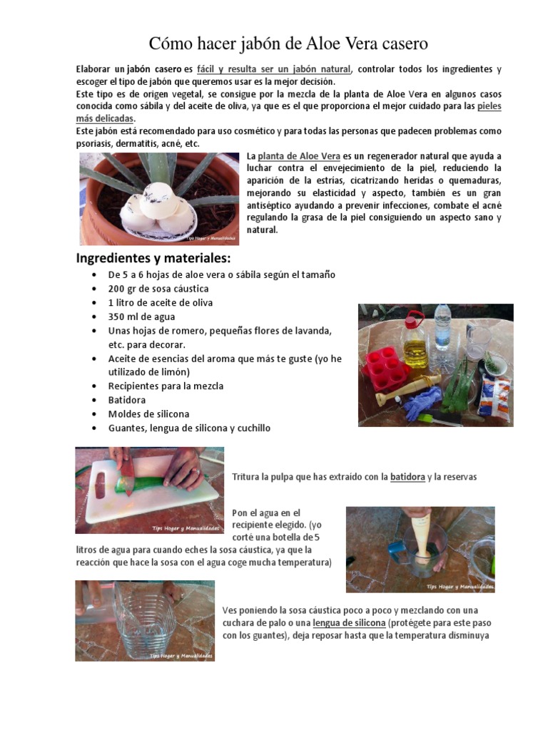 Cómo Hacer Jabón de Aloe Vera Casero | PDF | Jabón | Aceite de oliva