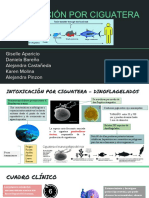 Exposicion Industrial