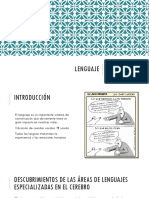 7.Lenguaje.pdf