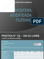 Informe Practico - Atmosfera Modificada - Platano