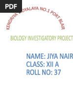 Download BIOLOGY INVESTIGATORY PROJECT by JIYA NAIR SN379040923 doc pdf
