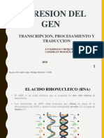 BGM-TRANSCRIPCION 2018.ppt